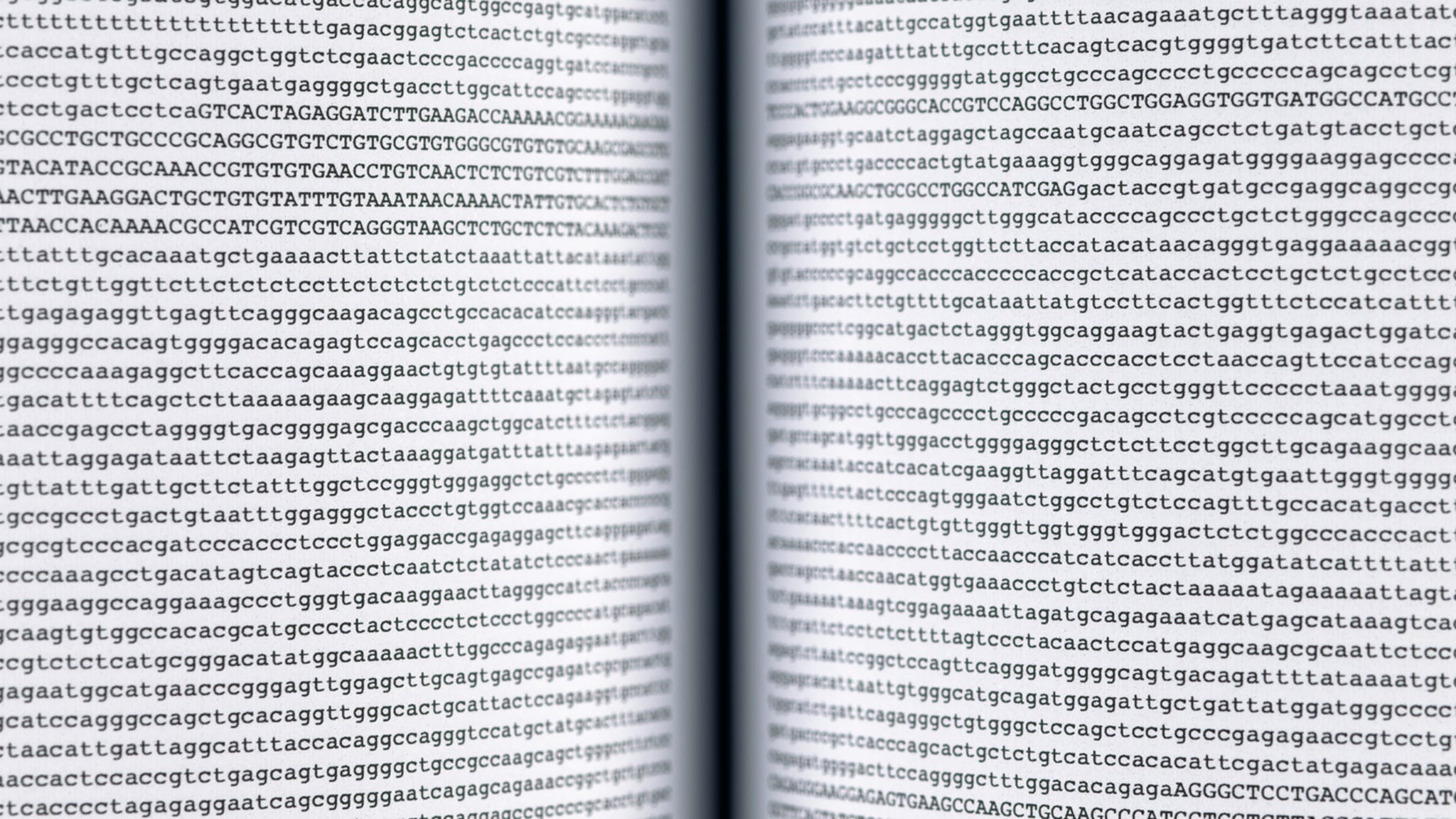 humán genom